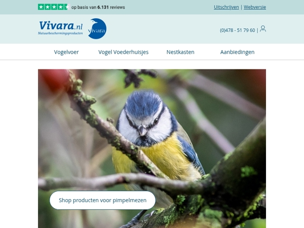 De pimpelmees tjilpt 🩵 Laatste dag tot wel 70% korting!