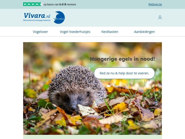 🦔 Directe hulp voor egels in nood