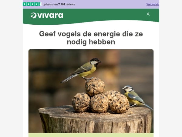🪹 Het broedseizoen komt eraan – geef vogels nu energie