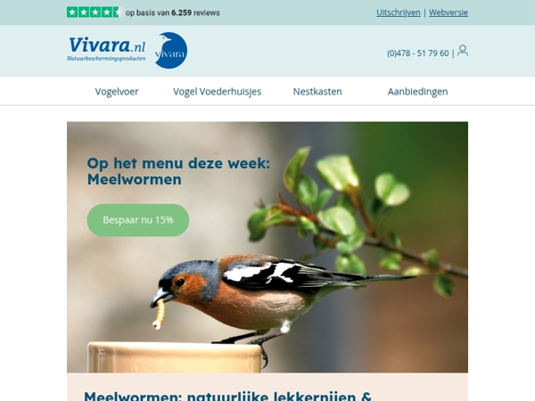 🐛 15% korting op meelwormen – alleen deze week!