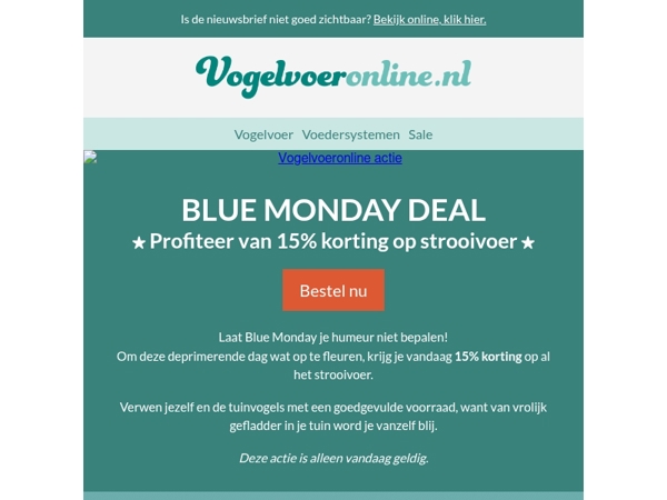 BLUE MONDAY DEAL🐦️