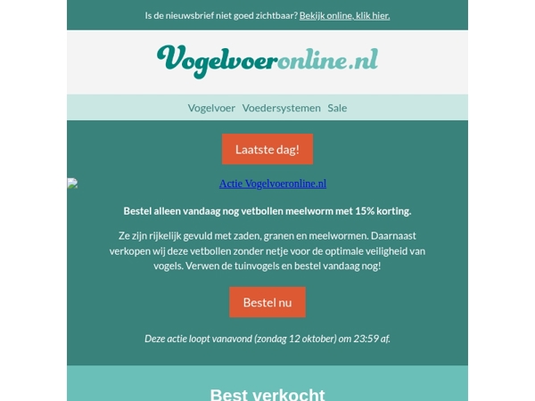 Laatste dag!🐦‍⬛