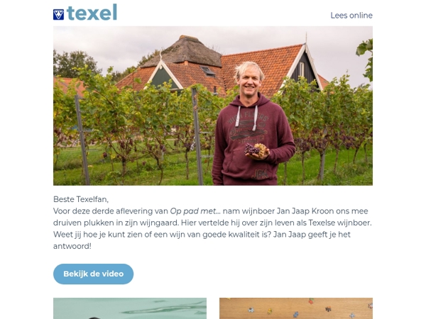 Ontdek de enige wijngaard van de Wadden