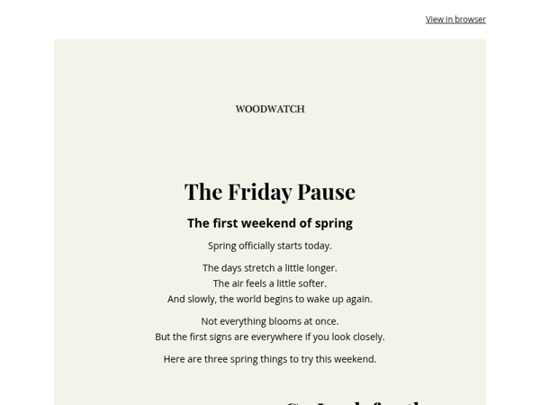 The Friday Pause: The First Signs of Spring 🌼