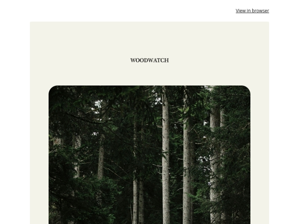 The Friday Pause: take a moment for yourself 🌳