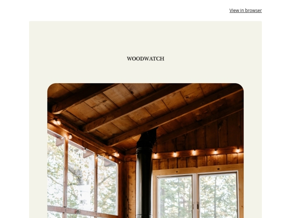 The Friday Pause: take a moment for yourself 🌳