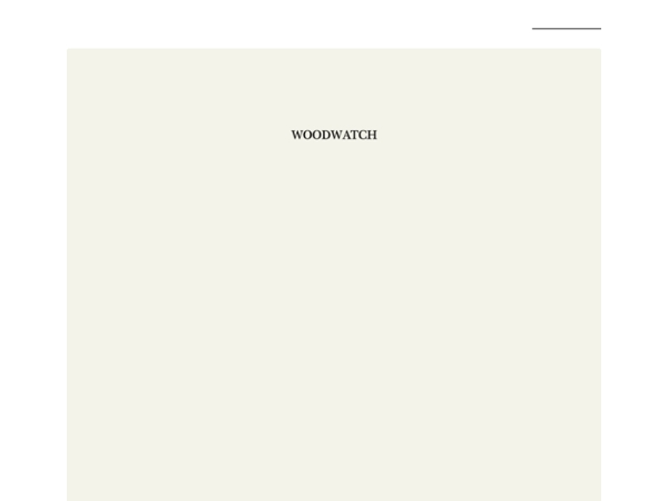 Style Trends for 2026 🤎