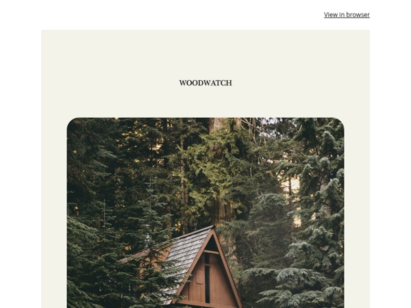 The Friday Pause: one slow step into the weekend 🌿