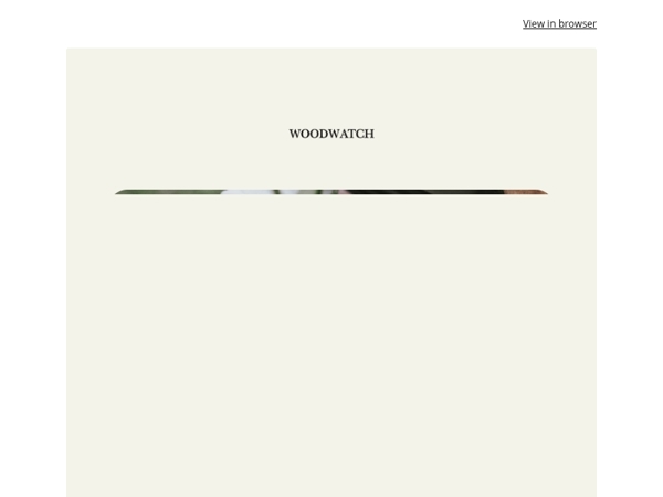 A Watch That Changes Lives 🌳