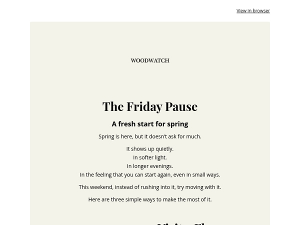The Friday Pause: The Pace of Spring 🌿