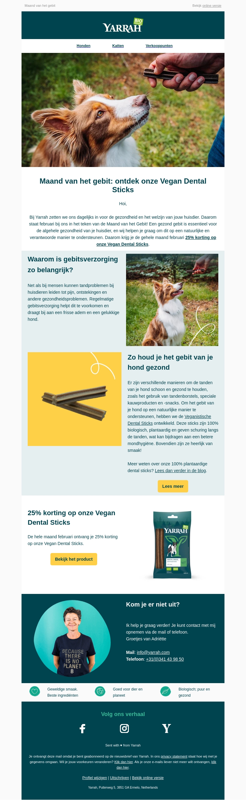 Zo houd je het gebit van je hond gezond Zo houd je het gebit van je hond gezond
